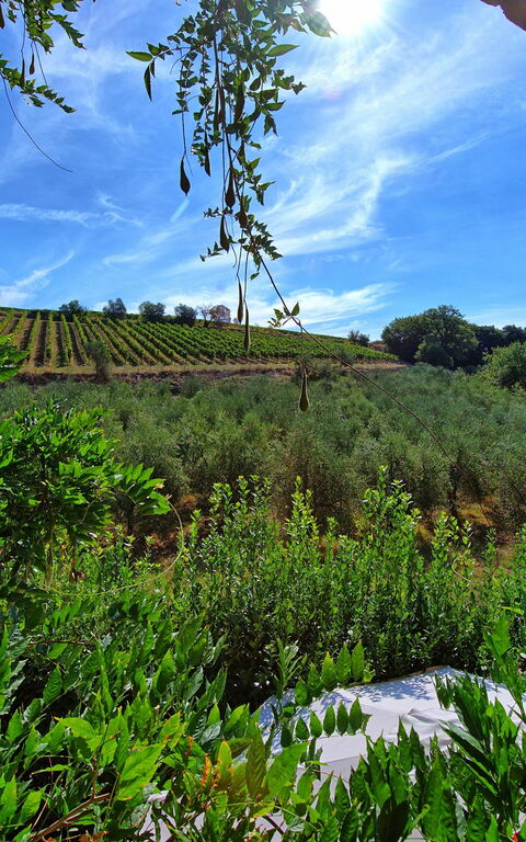 Casa Maria Luisa: Vues