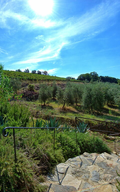 Casa Maria Luisa: Vues