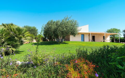 Logement Isla Verde - Ulivi: Extérieur, Extérieurs, Jardin