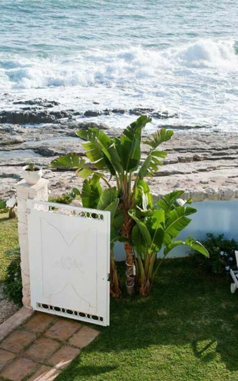 Villa Antares: Jardin