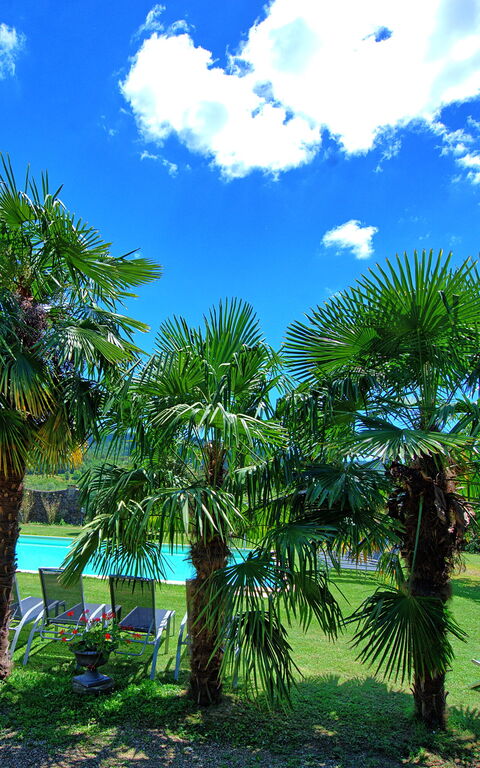 Villa Capolona: bassin, Extérieur, Vues