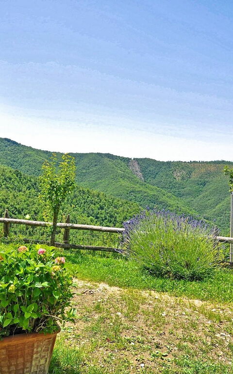 Villa Margherita Uno: Jardin