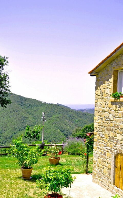 Villa Margherita Uno: Extérieurs, Jardin