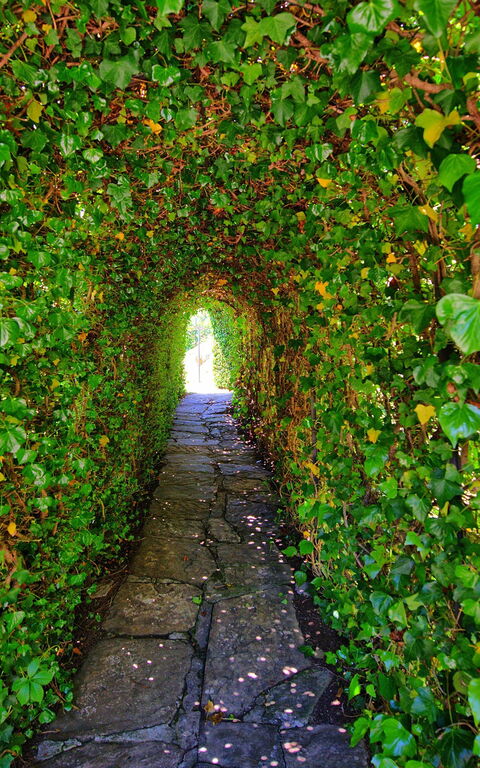 Villa Portole Uno: Jardin