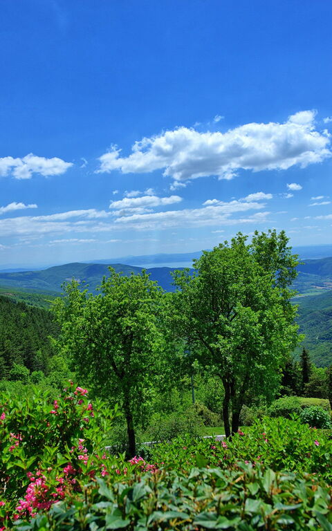 Villa Portole Due: Vues