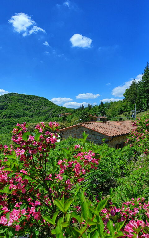 Villa Portole Due: Vues