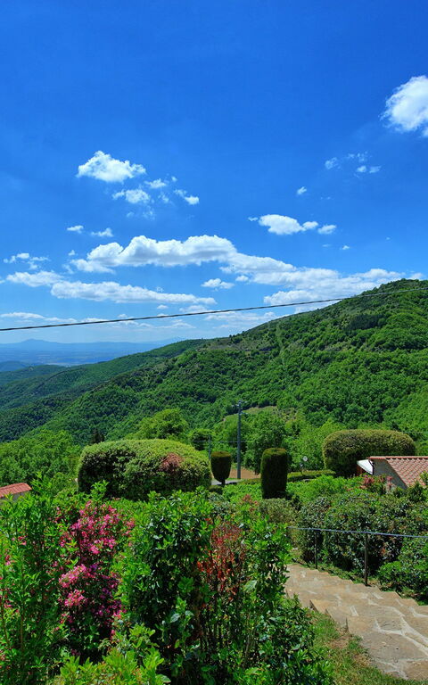 Villa Portole Due: Jardin, Vues