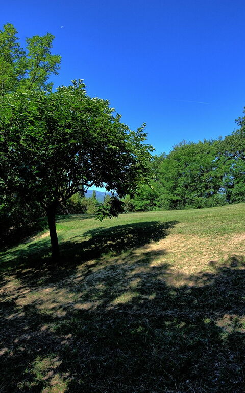 Casale Giotto: Jardin