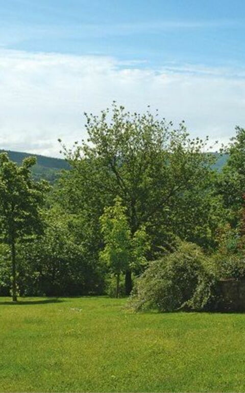 Villa Marika: Jardin