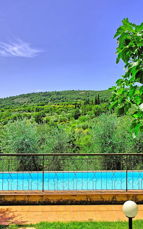 Villa Lorena: bassin