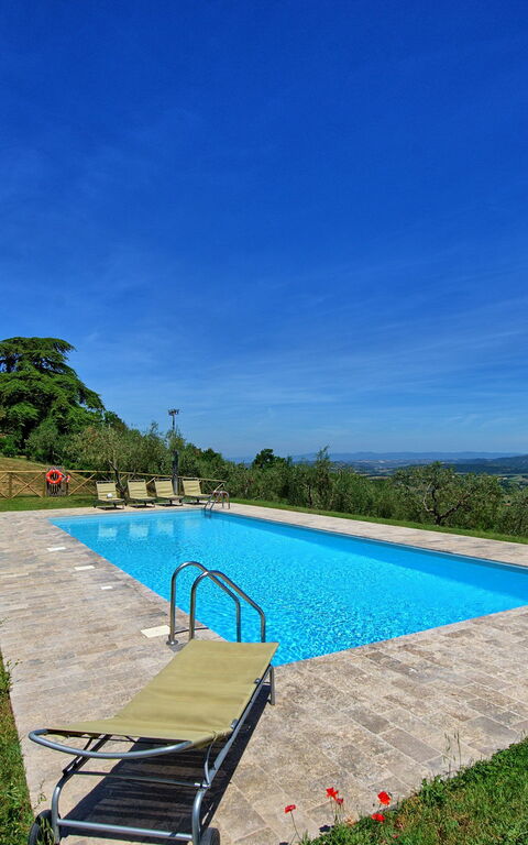 Casa Olivia: bassin, Jardin