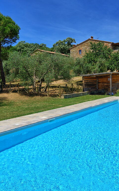 Casa Olivia: bassin