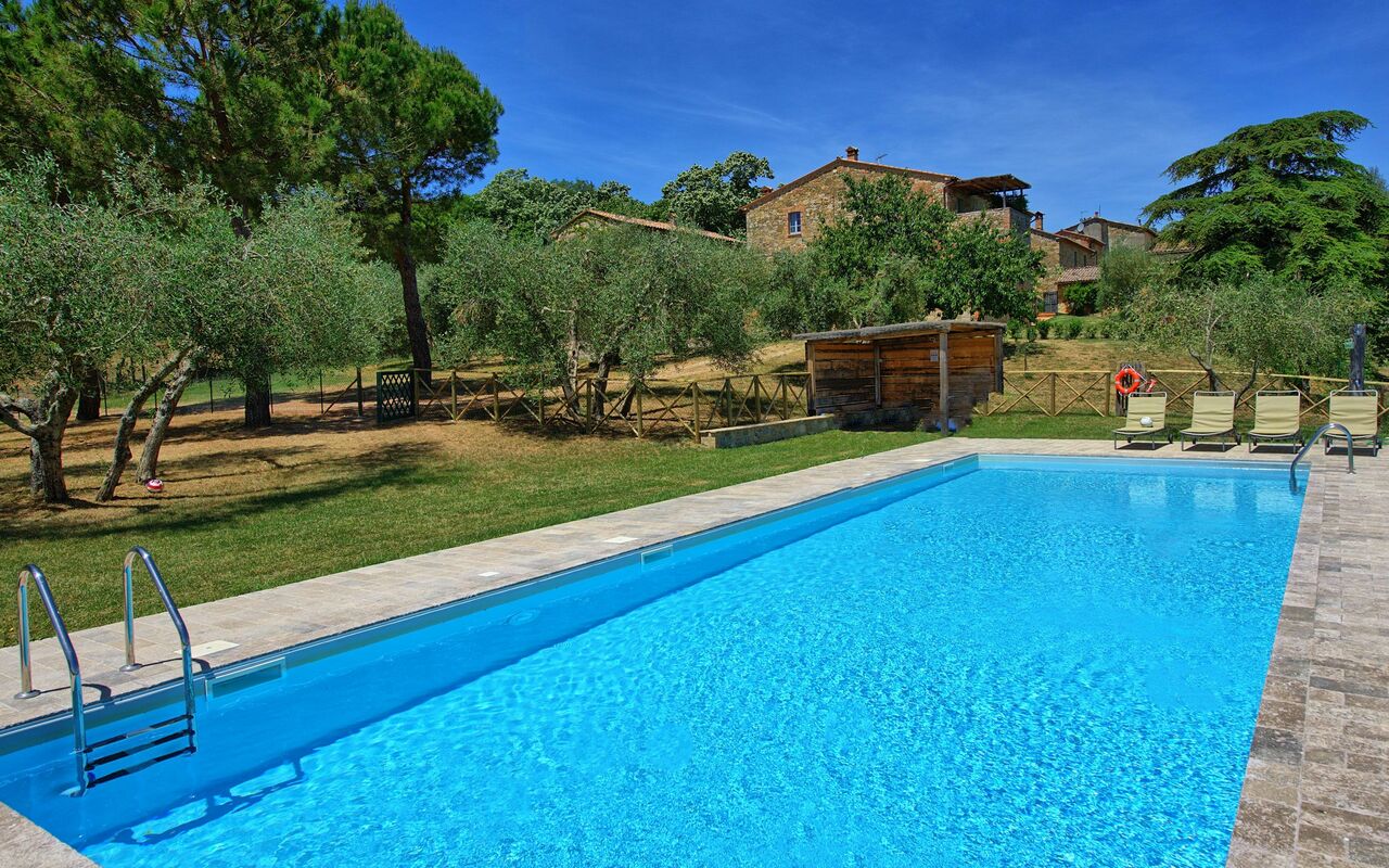 Casa Olivia: bassin