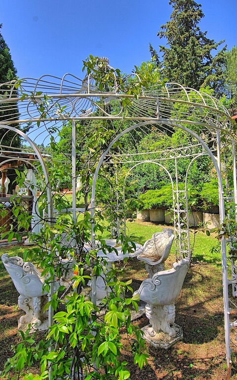 Villa Luciano: Jardin