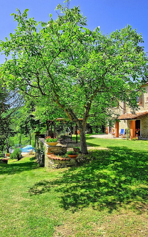 Villa Luciano: Jardin