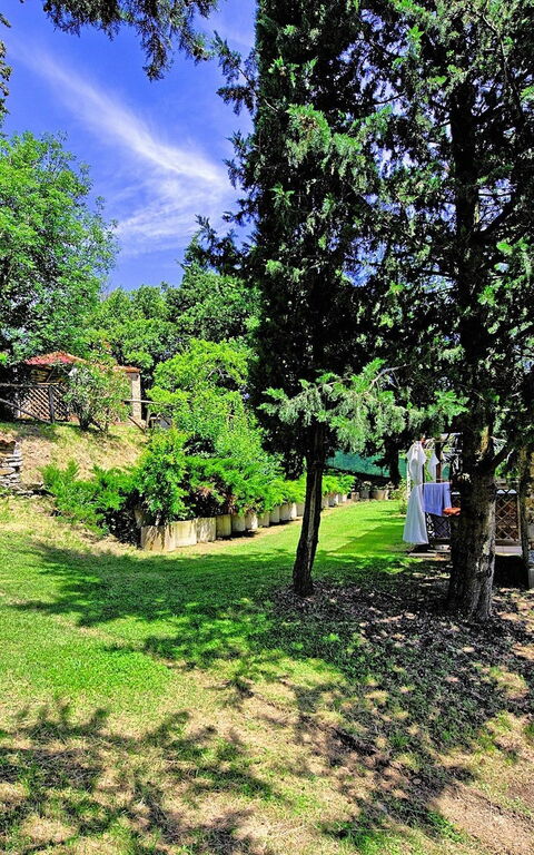 Villa Luciano: Jardin