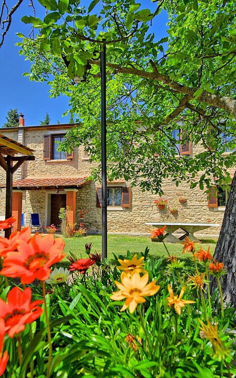 Villa Luciano: Jardin