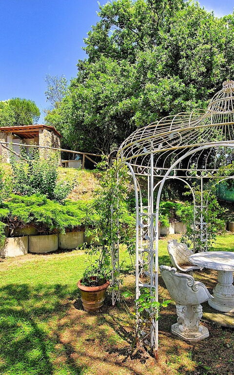 Villa Luciano: Jardin