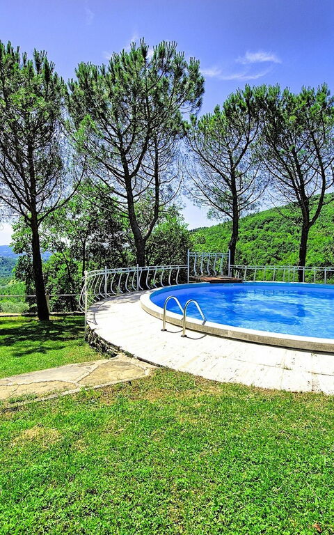 Villa Luciano: bassin, Jardin