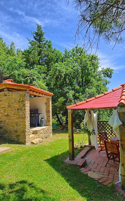 Villa Luciano: Jardin