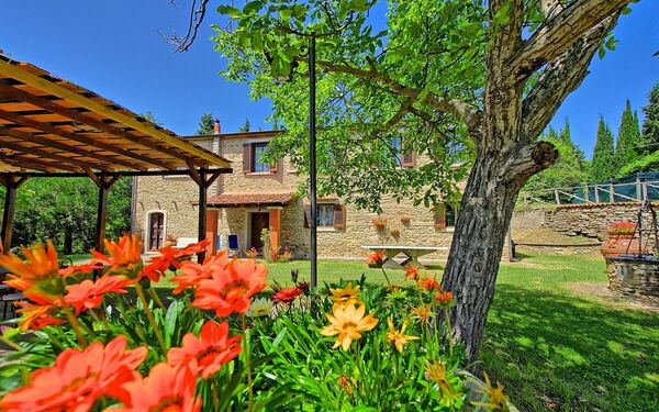 Villa Luciano: Jardin