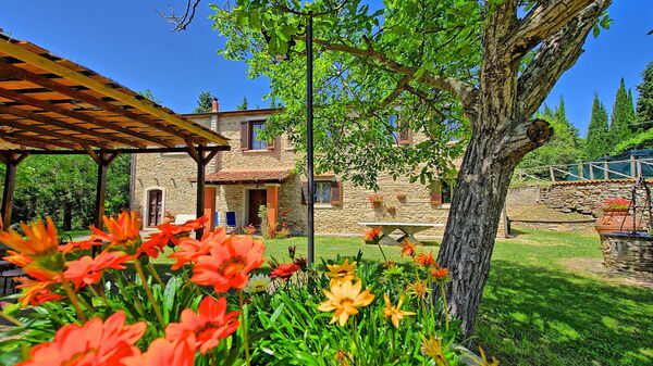 Villa Luciano: Jardin