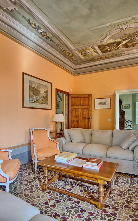 Villa Fiamma: Salon