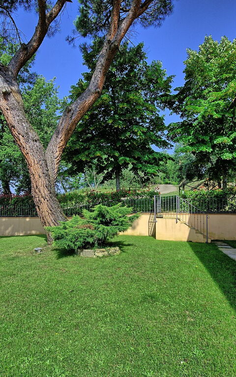 Villa Morandi: Jardin