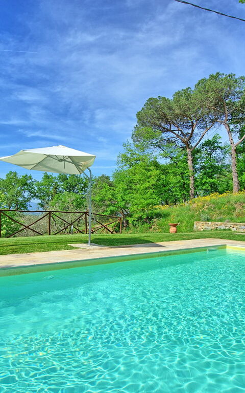 Villa Morandi: bassin