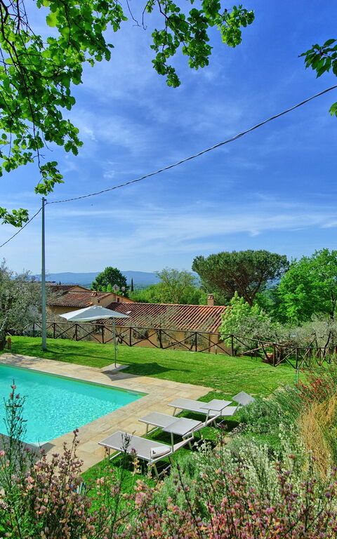 Villa Morandi: bassin
