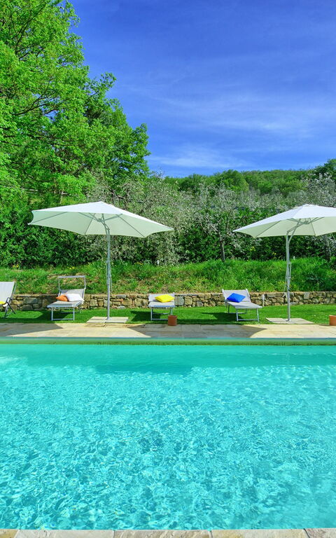 Villa Morandi: bassin