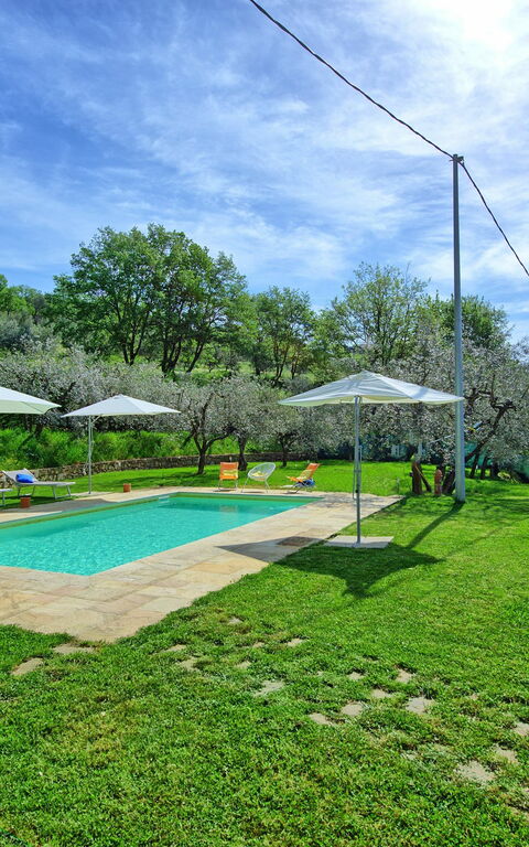 Villa Morandi: bassin