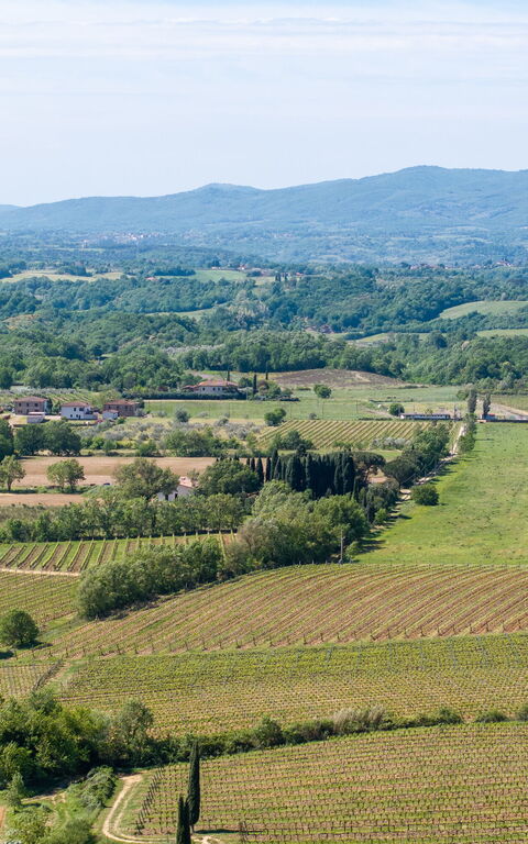 Villa Morandi: Extérieur, Vues