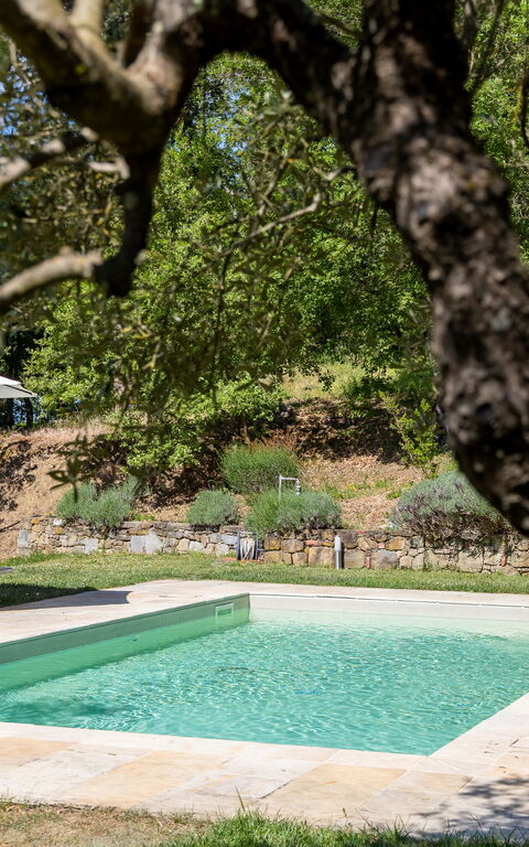 Villa Morandi: bassin, Extérieur, Jardin, Vues