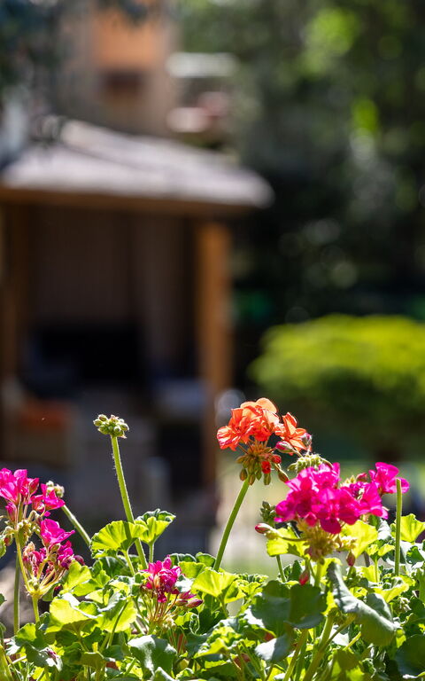Villa Morandi: Extérieur, Jardin