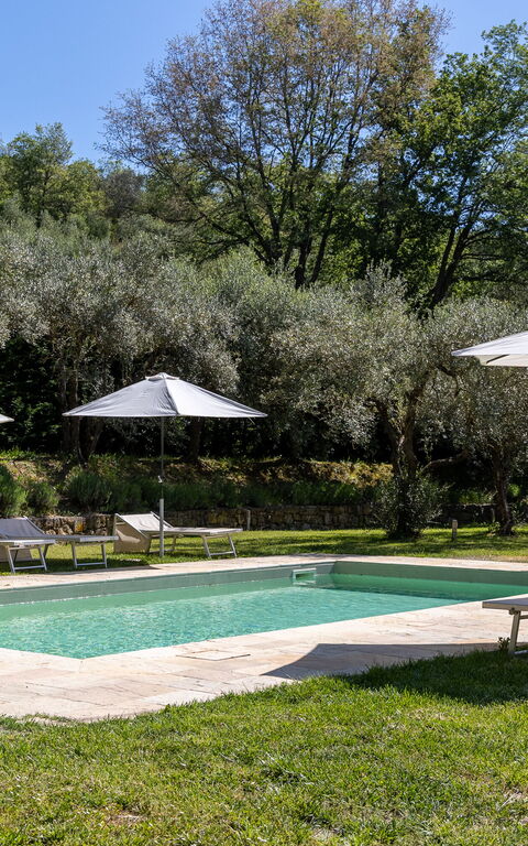 Villa Morandi: bassin, Extérieur, Jardin