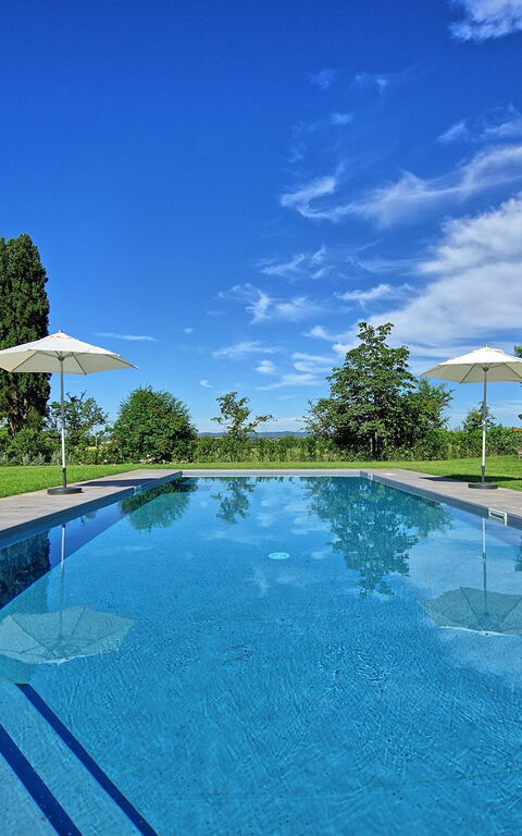 Villa Marietta: bassin