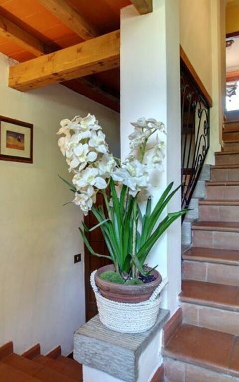 Villa Acacia: Autre salle