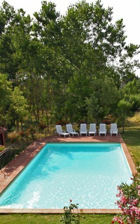 Villa Acacia: bassin