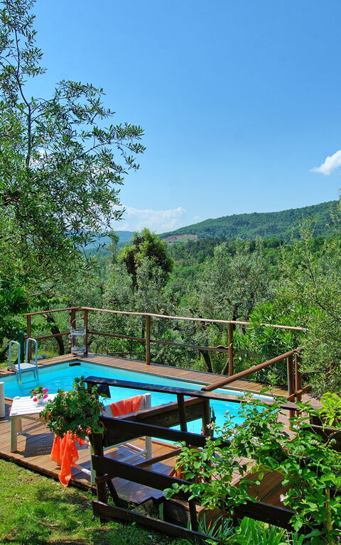 La Ruota: bassin, Été, Extérieur, Jardin, Vues