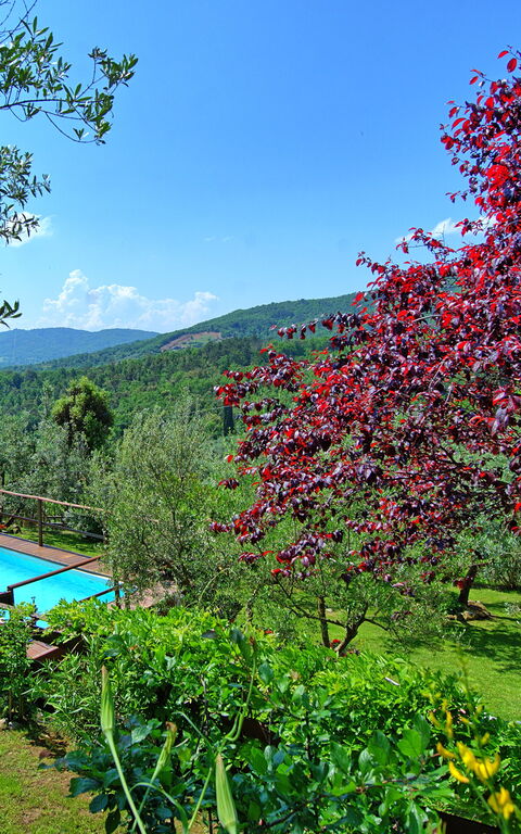 La Ruota: bassin, Extérieur, Vues