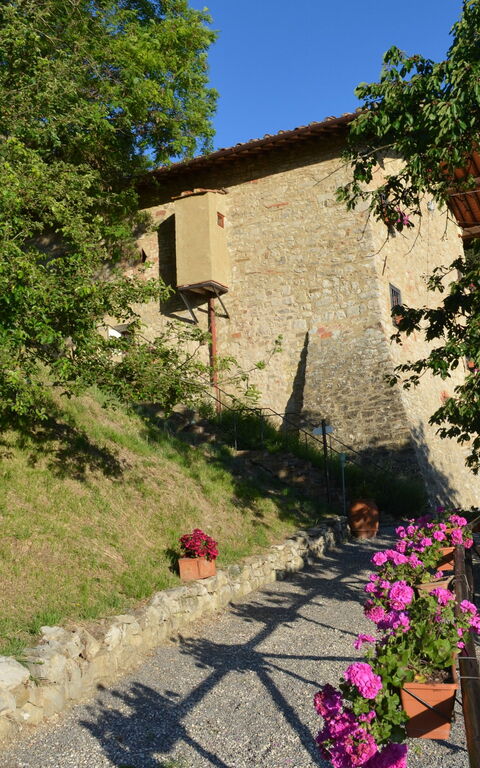 Villa Tenuta Lonciano: Jardin