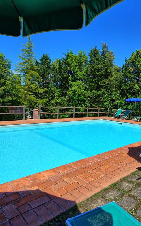 Villa Picchio: bassin, Extérieur