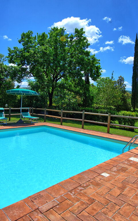 Villa Picchio: bassin, Extérieur, Extérieurs