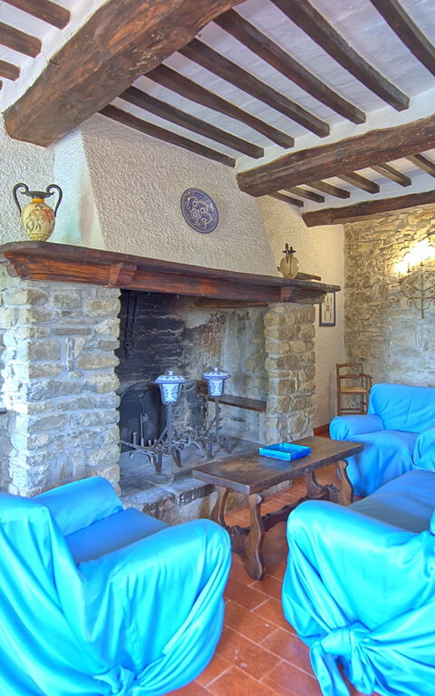 Villa Uccellaia: Salon