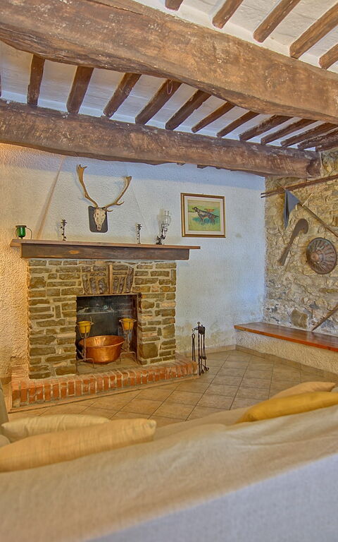 Villa Uccellaia: Salon