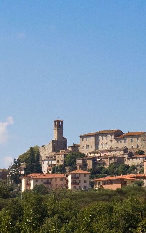 Villa Uccellaia: Vues