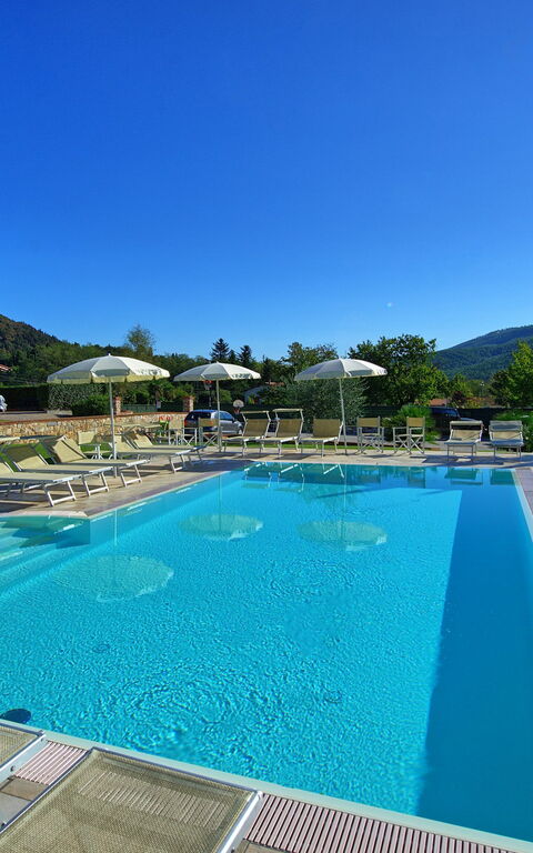 Flavia: bassin, Extérieur, Jardin