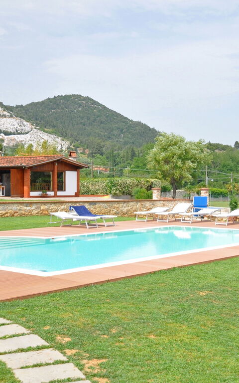 Flavia: bassin, Jardin