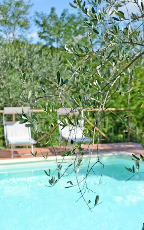 Il Fienile Di Giovanna: bassin